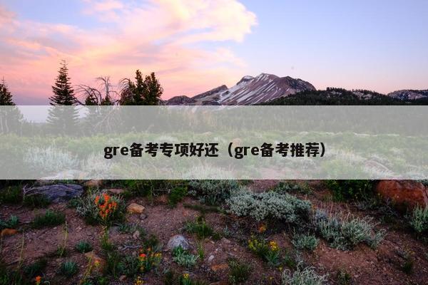 gre备考专项好还（gre备考推荐）