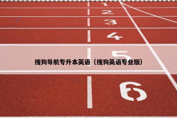 搜狗导航专升本英语（搜狗英语专业版）