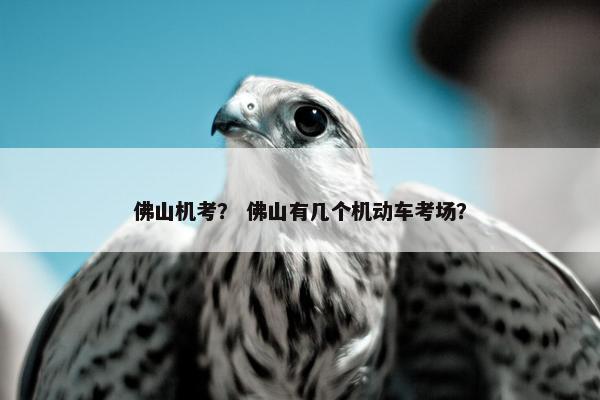 佛山机考？ 佛山有几个机动车考场？
