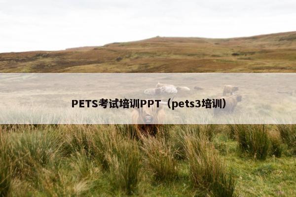 PETS考试培训PPT（pets3培训）