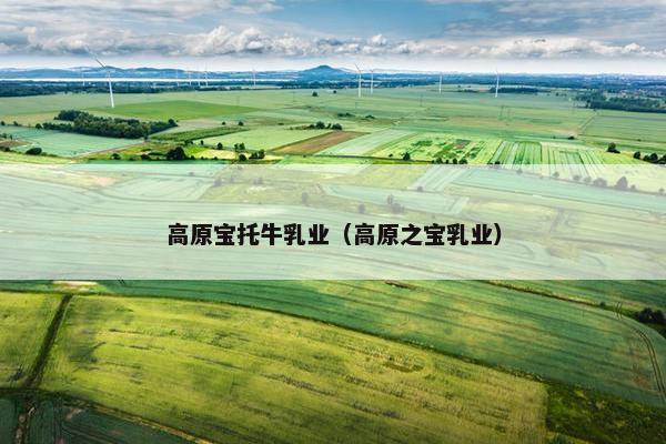 高原宝托牛乳业（高原之宝乳业）