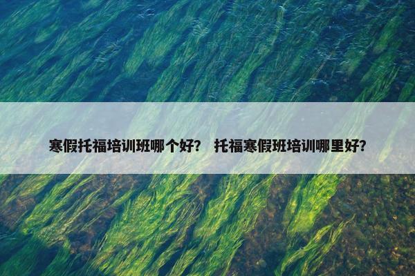 寒假托福培训班哪个好？ 托福寒假班培训哪里好？
