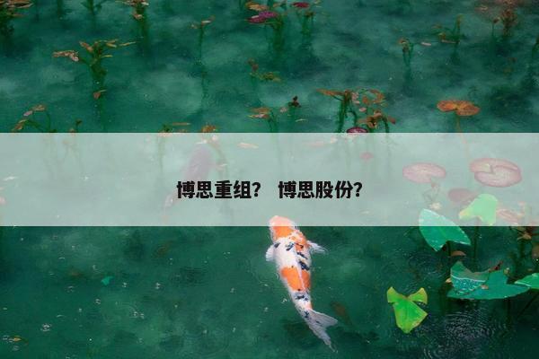 博思重组？ 博思股份？
