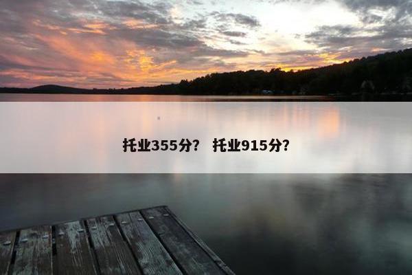 托业355分？ 托业915分？