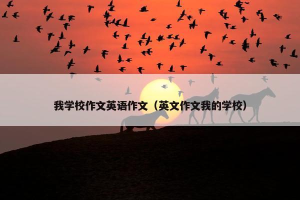 我学校作文英语作文（英文作文我的学校）