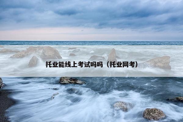 托业能线上考试吗吗（托业网考）