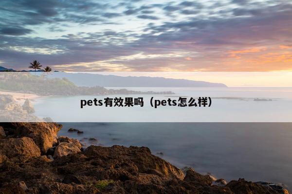 pets有效果吗（pets怎么样）