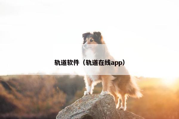 轨道软件（轨道在线app）