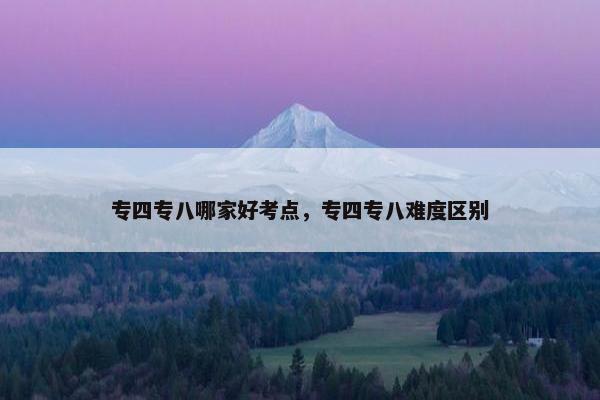 专四专八哪家好考点，专四专八难度区别