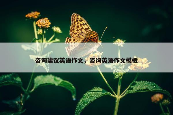 咨询建议英语作文，咨询英语作文模板