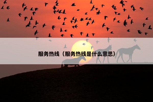 服务热线（服务热线是什么意思）