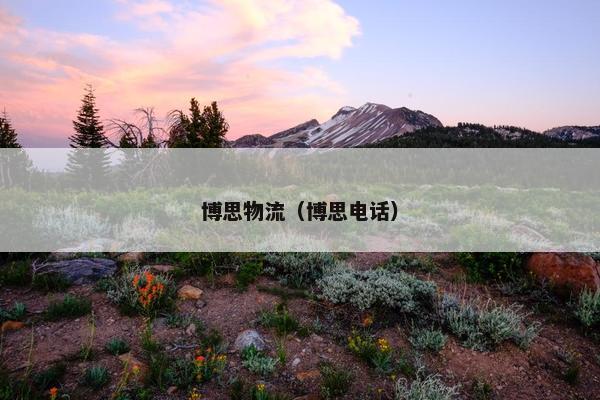 博思物流（博思电话）