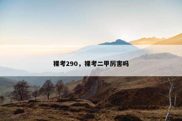 裸考290，裸考二甲厉害吗