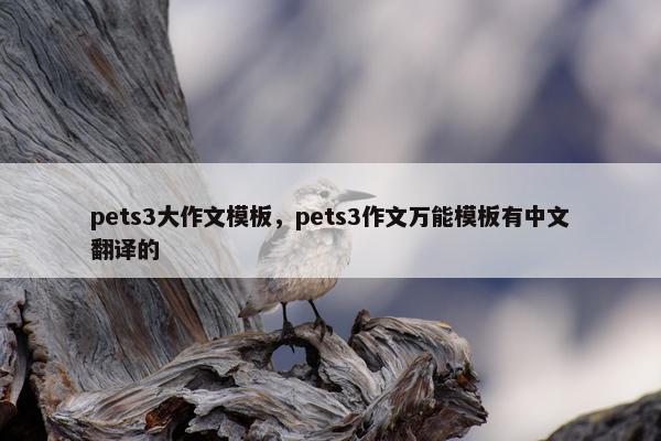 pets3大作文模板，pets3作文万能模板有中文翻译的