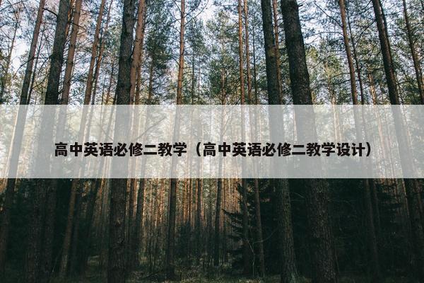 高中英语必修二教学（高中英语必修二教学设计）